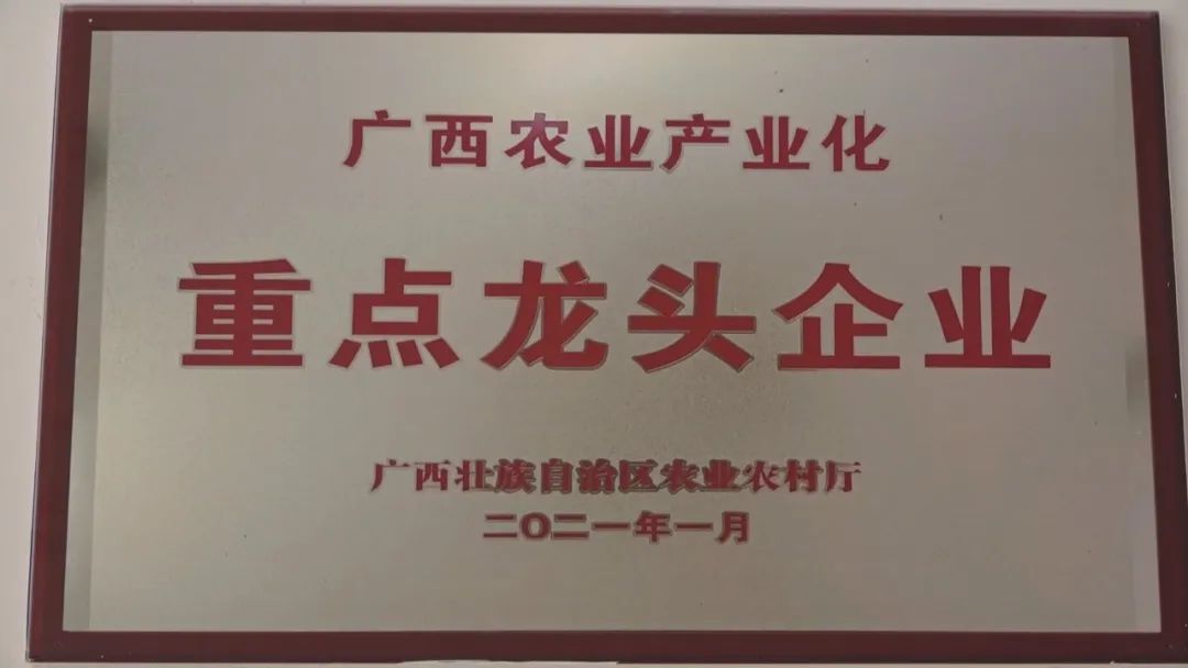 清廉为本，实干兴业——广西河丰药业荣获“全区清廉民企建设标杆企业”deepthink